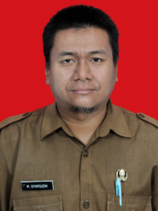 Muhammad Syamsudin, S.Kom.